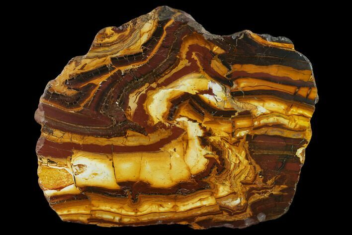 Polished Desert Sunset Banded Iron Section - Western Australia #131165